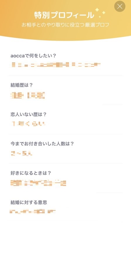 aocca(アオッカ)の特別プロフィール